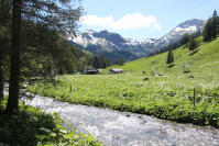 Impressionen von einem kleinen Spaziergang (30 Minuten vom Haus) 